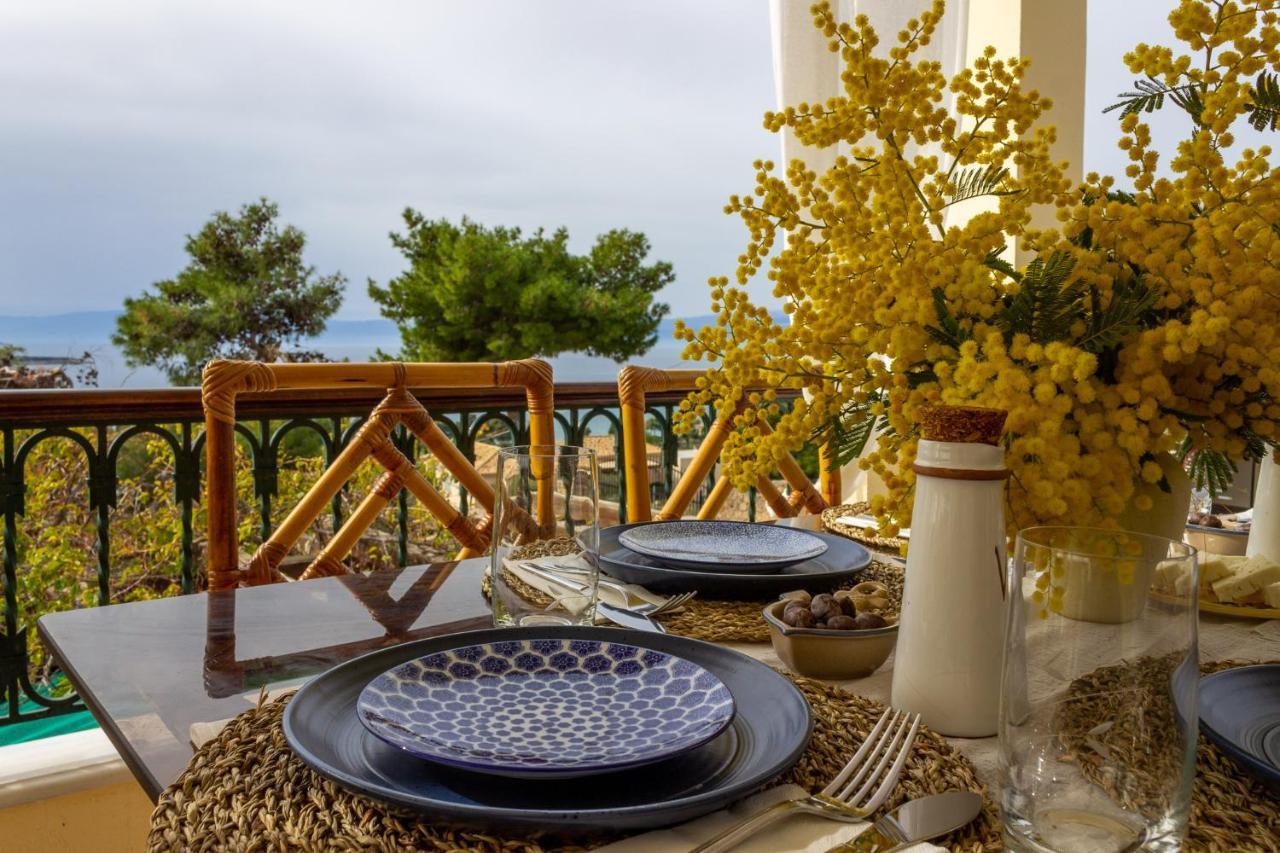 波多河丽House With Amazing Ocean View And Patio - Pool别墅 外观 照片